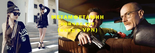 прущие грибы Ельня