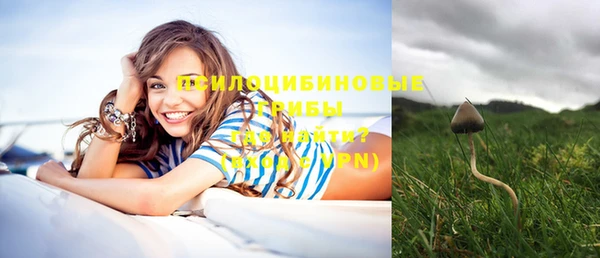 ПСИЛОЦИБИНОВЫЕ ГРИБЫ Елабуга