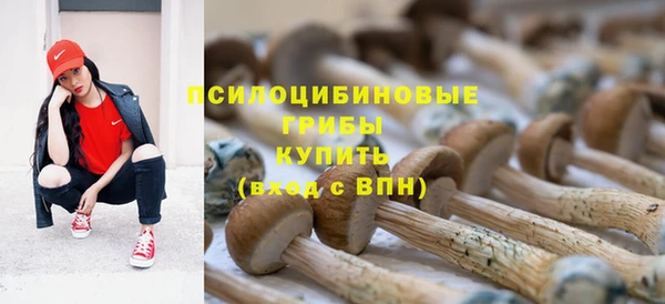 винт Елизово
