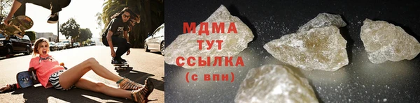 прущие грибы Ельня