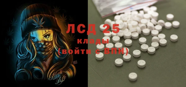 ПСИЛОЦИБИНОВЫЕ ГРИБЫ Елабуга
