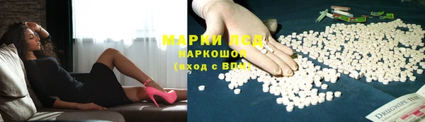 прущие грибы Ельня