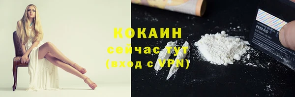 ПСИЛОЦИБИНОВЫЕ ГРИБЫ Елабуга