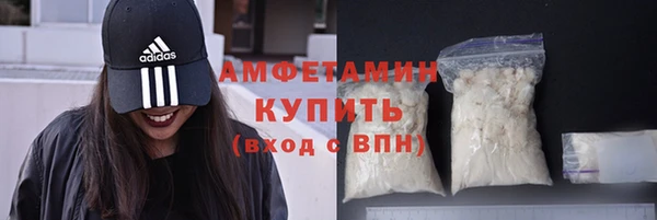 прущие грибы Ельня
