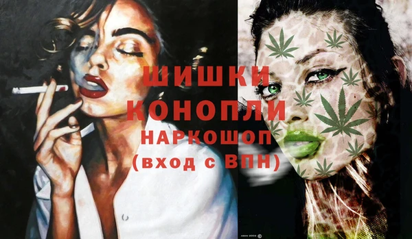 прущие грибы Ельня