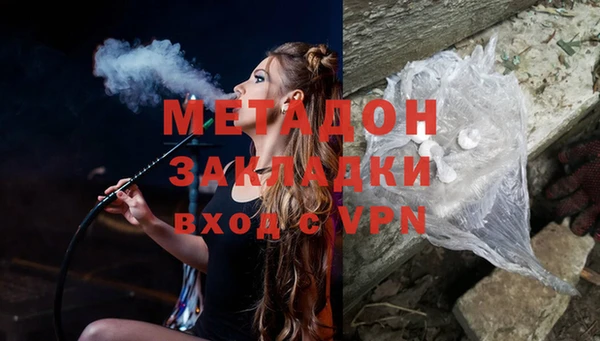 прущие грибы Ельня