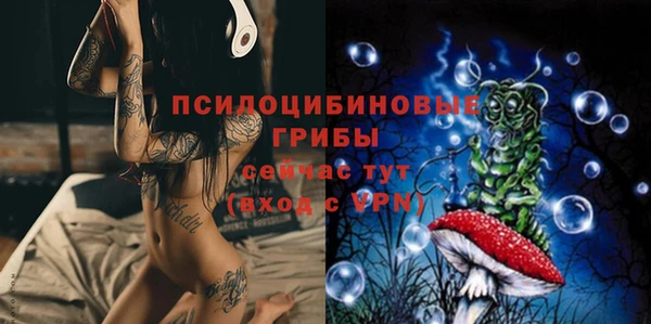 прущие грибы Ельня