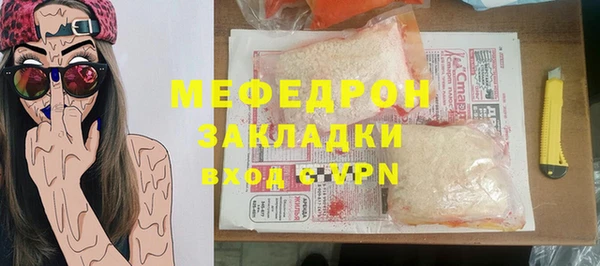 прущие грибы Ельня