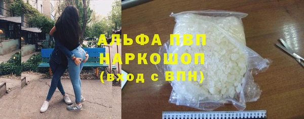 прущие грибы Ельня