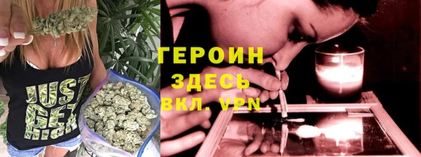 прущие грибы Ельня