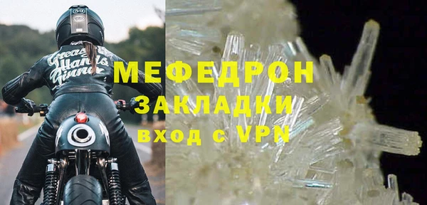 прущие грибы Ельня