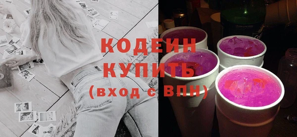 прущие грибы Ельня